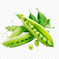 2021 New Harvest Hot Selling Good Chinese Fresh Green Sugar Snap Pea